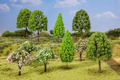 Drzewa liściaste 6-11cm / 10szt.