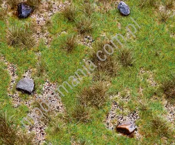 Segment krajobrazu - łąka z głazami 21x14cm