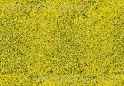 Mata, trawa żółta dzika, krótka 28x14cm