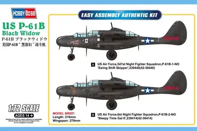 Amerykański mysliwiec nocny P-61B Black Widow