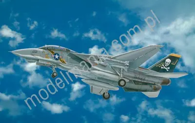 Amerykański myśliwiec F-14 A Tomcat