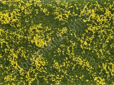 Segment krajobrazu - łąka z żółtymi kwiatami 12x18 cm