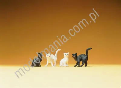 4 koty