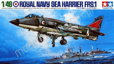 Brytyjski samolot bliskiego wsparcia Hawker Sea Harrier Frs.1