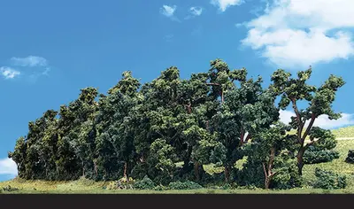 Gęste drzewka - Żywopłot 2.54-10.1cm x 20.9cm