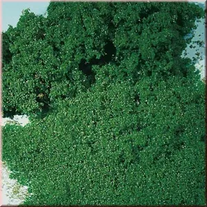Pianka średnia liściasto-zielona / 1000ml
