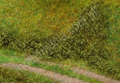 Siateczka letnia zieleń 30x20 cm