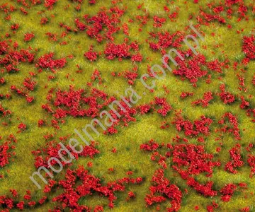 Segment krajobrazu - kwitnąca łąka, czerwona 21x14cm