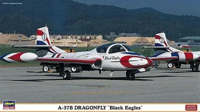 Amerykański samolot akrobatyczny A-37B "Black Eagles", 2szt