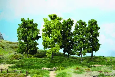 Drzewa liściaste 10-18cm / 5szt.