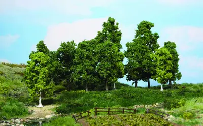 Drzewa liściaste 10-18cm / 15szt.