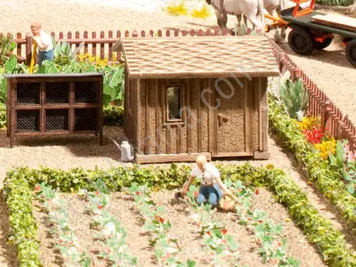 Ogród warzywny