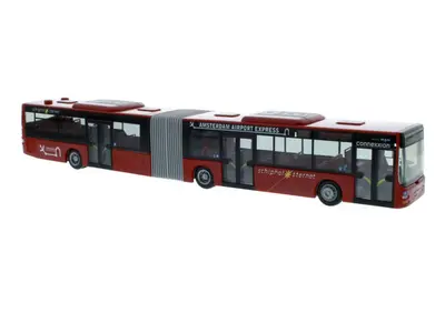 Autobus MAN Lion's City G, Connexxion-Sternet